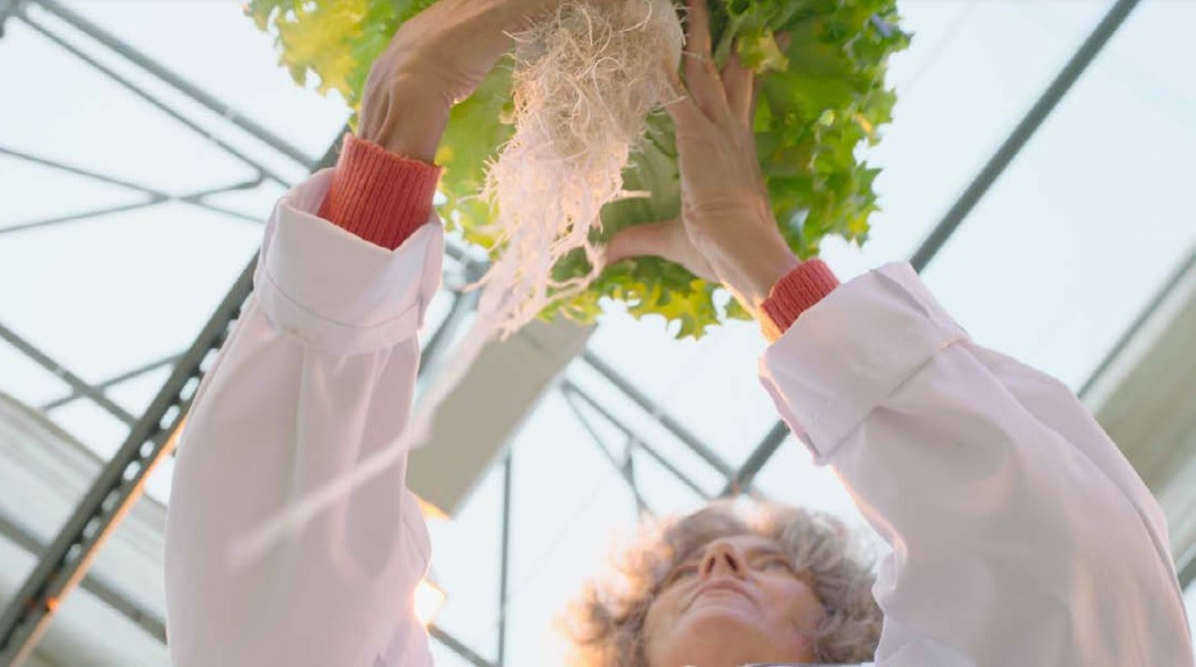 CleanGreens boosts its growth with two new contracts