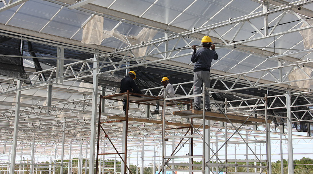 Construction Started in Green Life Co