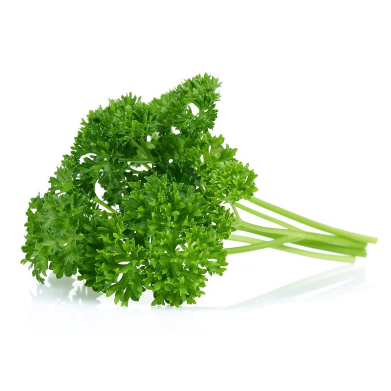 Curly Parsley